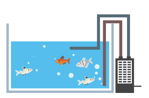 熱帯魚用クーラー　イメージ図