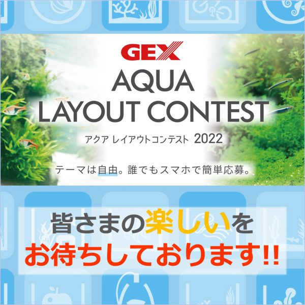 誰でも 参加できる水槽レイアウトコンテスト22募集中 誰でも 参加できる水槽レイアウトコンテスト22募集中