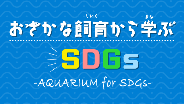 おさかな飼育から学ぶSDGs