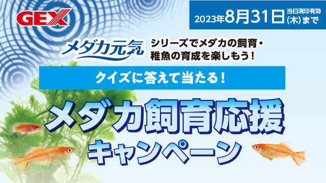 クイズに答えて当たる！メダカ飼育応援キャンペーン