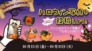 ペットの写真投稿でプレゼントをもらおう！ハロウィンキャンペーン★