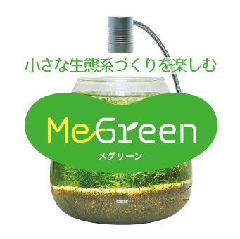 水草育成の癒しをもっと身近に。自然を学び、知り、楽しむ MeGreen