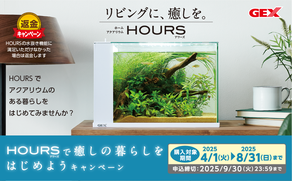 『HOURSで癒しの暮らしをはじめよう』キャンペーン