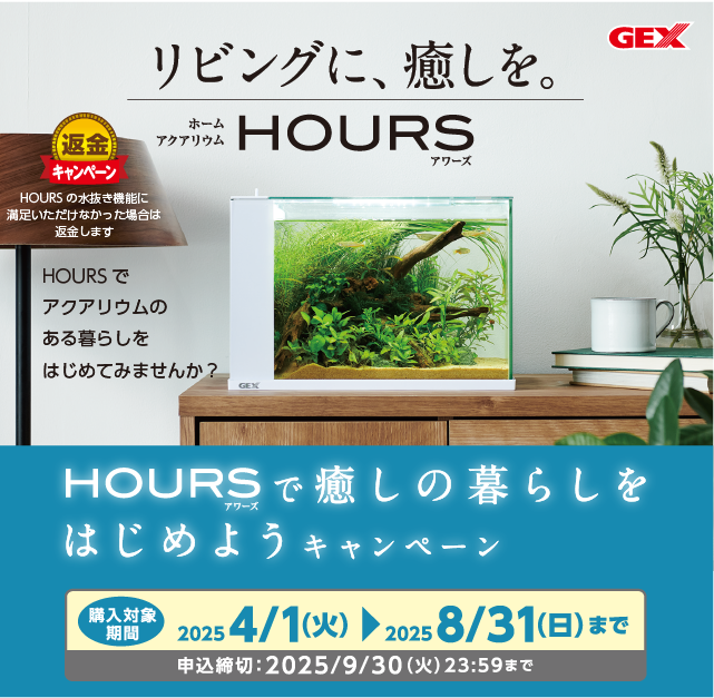 『HOURSで癒しの暮らしをはじめよう』キャンペーン