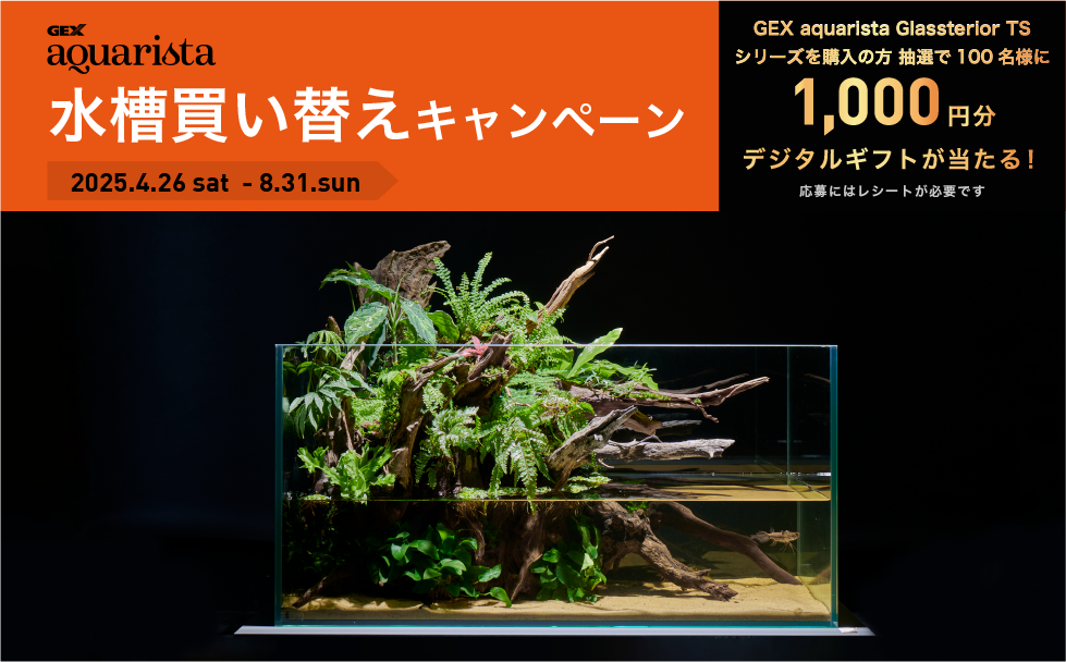GEX aquarista Glassterior TS 水槽買い替えキャンペーン