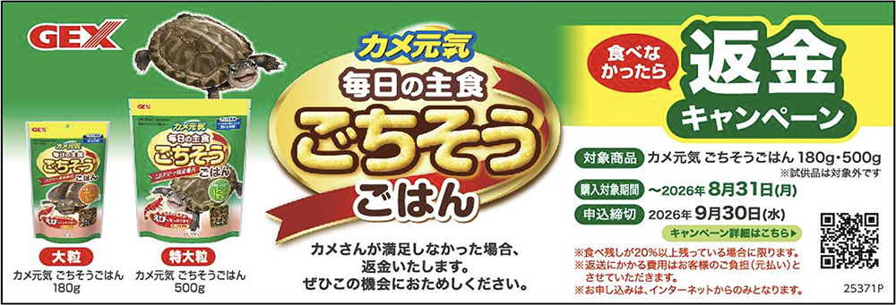 カメ元気　ごちそうごはん　返金キャンペーン