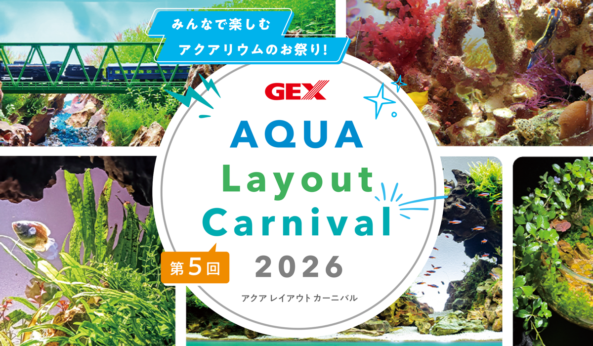 GEXアクアレイアウトカーニバル2026