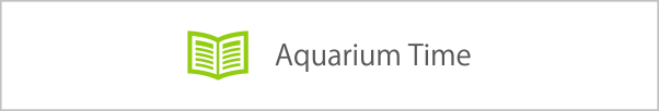 Aquarium Time