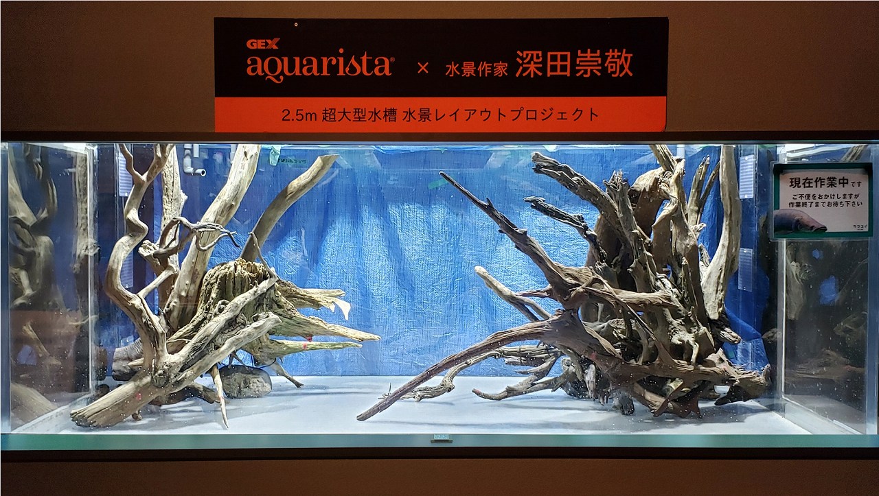 GEX aquarista Dream Project 2021 | GEX aquarista | アクアリストの 