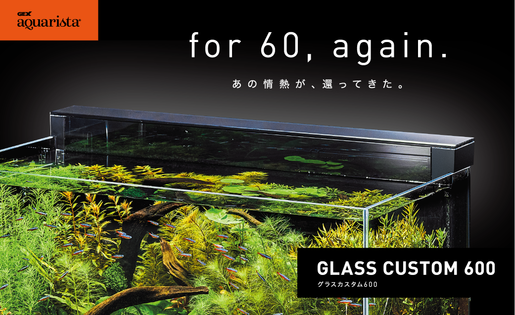 新商品「GLASS CUSTOM 600」メーカー出荷開始 | GEX aquarista