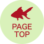 PAGE TOP