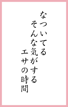 なついてる そんな気がする エサの時間