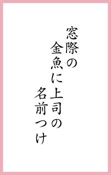 窓際の 金魚に上司の 名前つけ