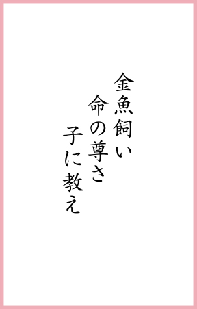 金魚飼い 命の尊さ 子に教え