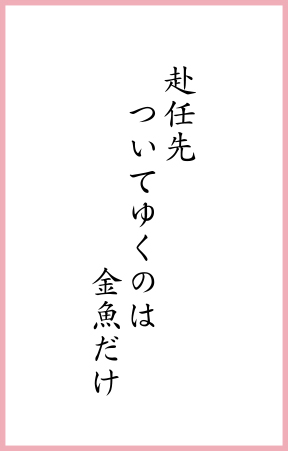 赴任先 ついてゆくのは 金魚だけ