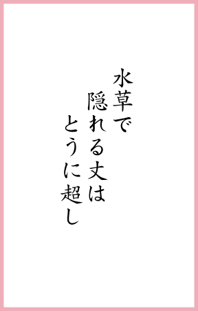 水草で 隠れる丈は とうに超し