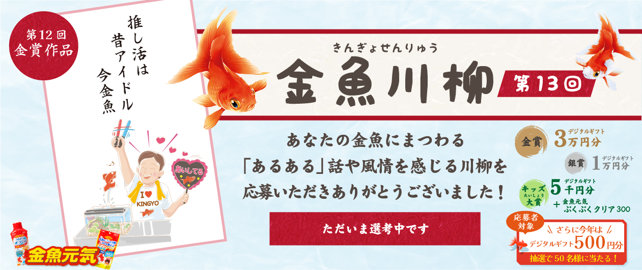金魚川柳 第13回　あなたの金魚にまつわる「あるある」話や風情を感じる川柳を募集しています！