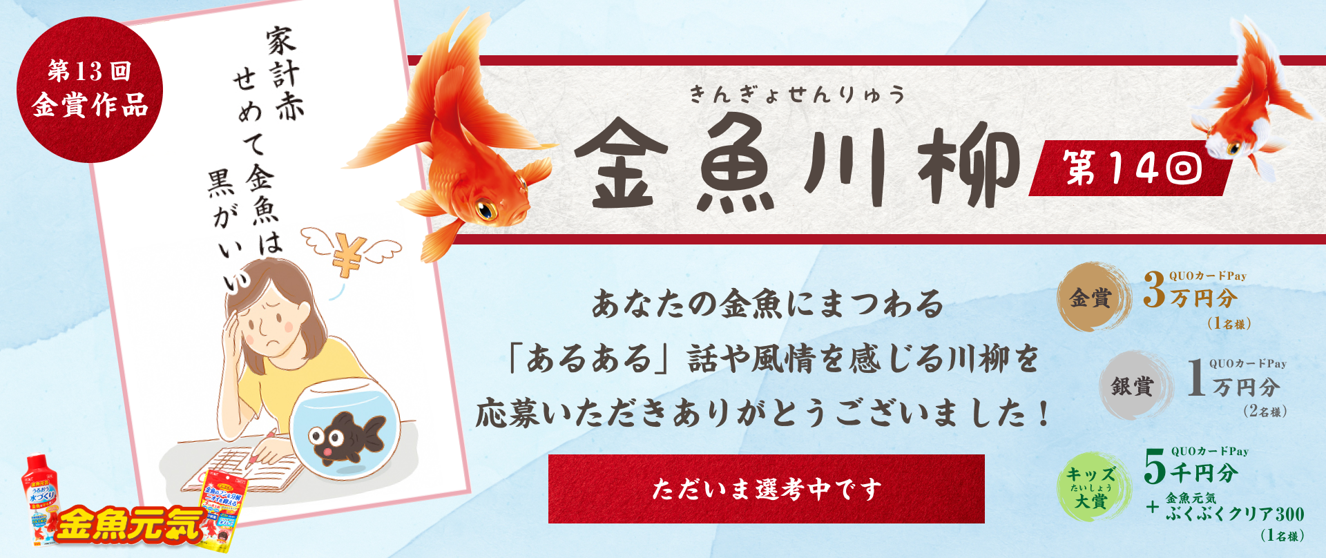 金魚川柳 第14回　あなたの金魚にまつわる「あるある」話や風情を感じる川柳を募集しています！