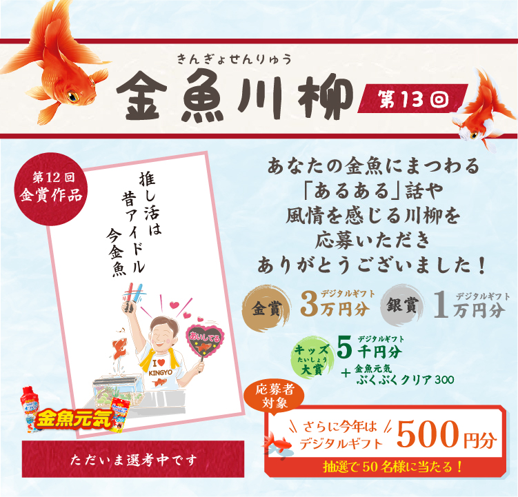 第13回　あなたの金魚にまつわる「あるある」話や風情を感じる川柳を募集しています！