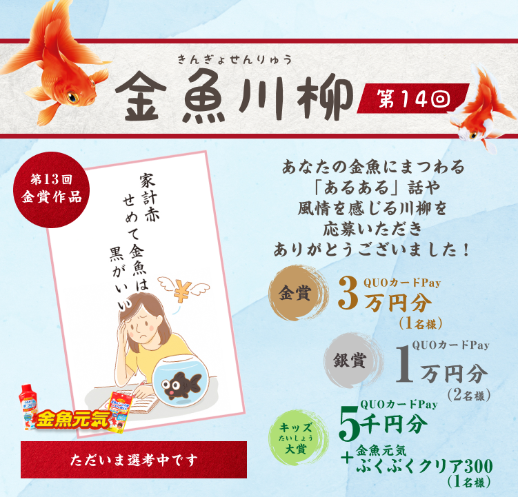 金魚川柳 第14回　あなたの金魚にまつわる「あるある」話や風情を感じる川柳を募集しています！