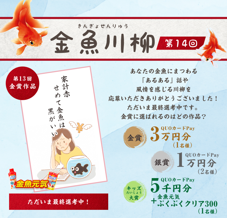 金魚川柳 第14回 あなたの金魚にまつわる「あるある」話や風情を感じる川柳を募集しています!