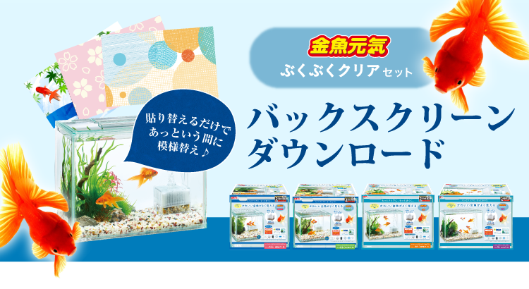 金魚元気 水キレイセット バックスクリーンダウンロード