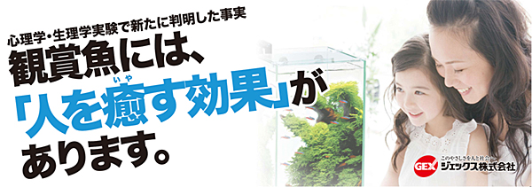観賞魚を飼育される皆様へ