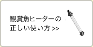 観賞魚ヒーターの正しい使い方