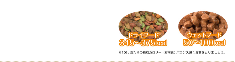 ヘルシーなウェットフード