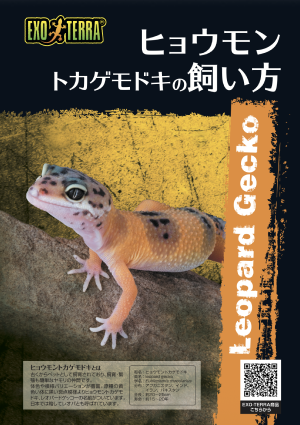 ヒョウモントカゲモドキの飼い方