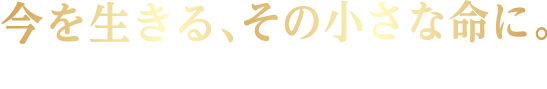 今を生きる、その小さな命に。　カラダは食べたものでつくられる