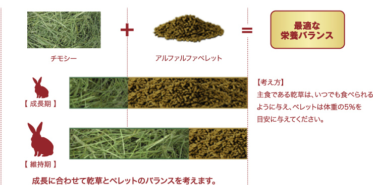 チモシー＋チモシーペレット＝最適な栄養バランス主食である乾草は、いつでも食べられるように与え、ペレットは体重の5％を目安に与えてください。