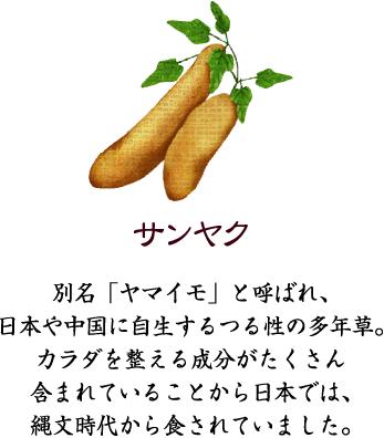 サンヤク　別名「ヤマイモ」と呼ばれ、日本や中国に自生するつる性の多年草。カラダを整える成分がたくさん含まれていることから日本では、縄文時代から食されていました。