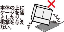 {̂̏ɃP[W𗎂ƂAՌ^ȂB