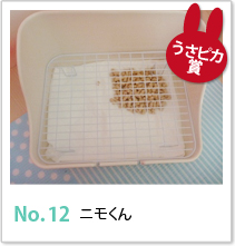 No.12 ニモくん