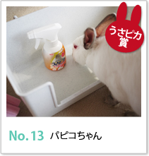 No.13 パピコちゃん