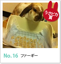 No.16　ファーギー