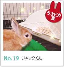 No.19 ジャックくん