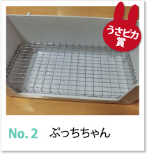 No.2　ぷっちちゃん