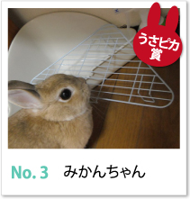 No.3　みかんちゃん