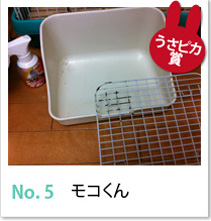No.5　モコくん