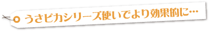 うさピカシリーズ使いでより効果的に･･･