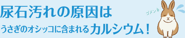 尿石汚れの原因はうさぎのオシッコに含まれるカルシウム！